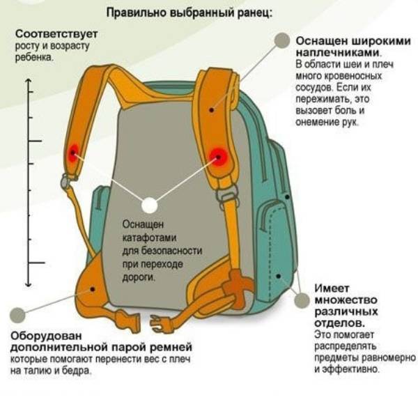 Как выбрать качественный рюкзак для первоклассника