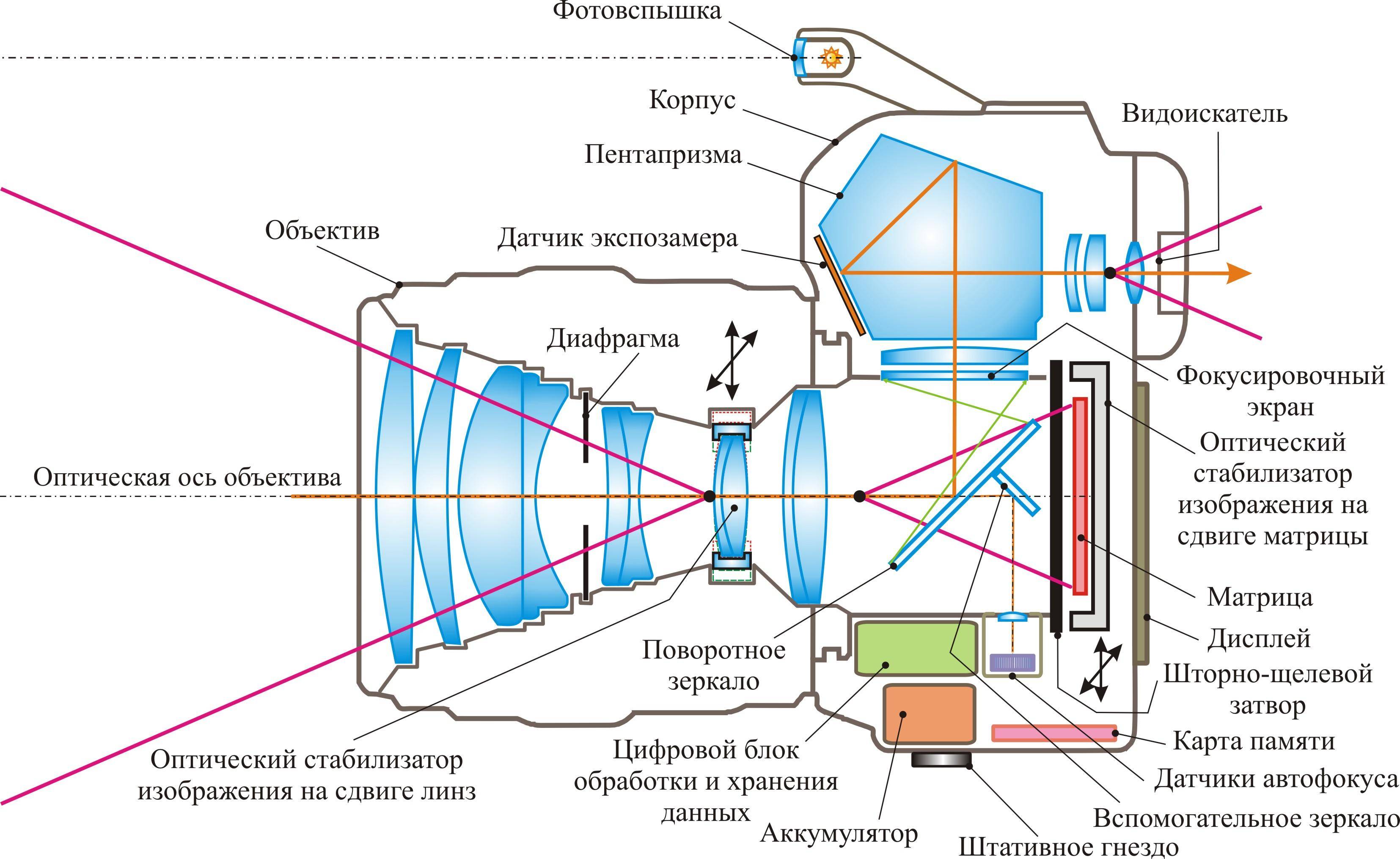 Как и какой выбрать зеркальный фотоаппарат
