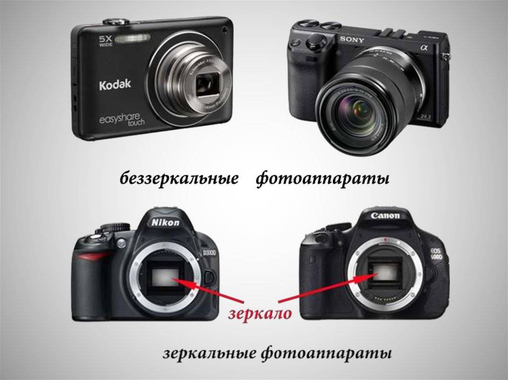 В чем отличие фотоаппаратов kit от фотоаппаратов body - взгляд-инфо лента новостей