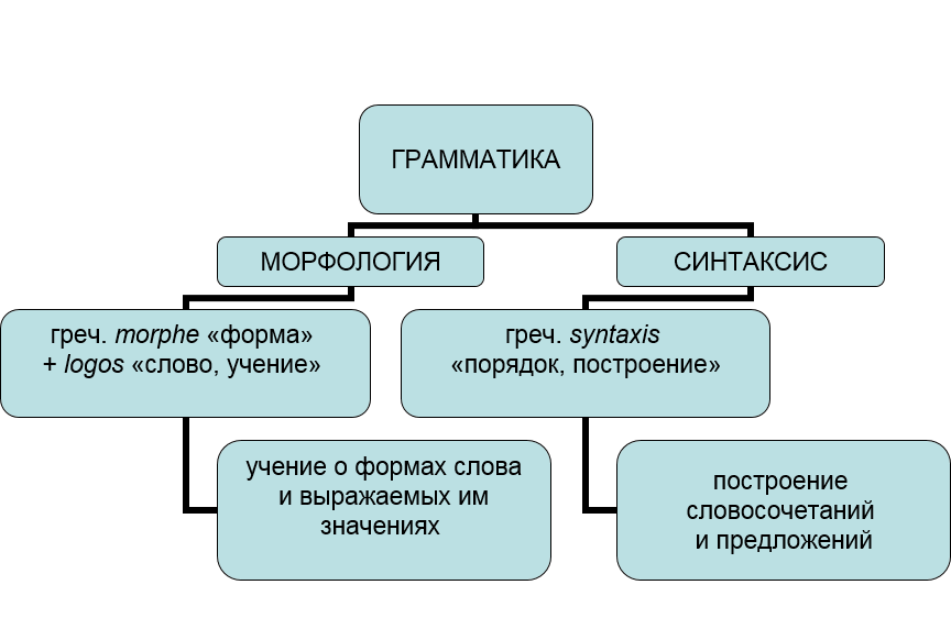 Что такое грамматика: понятие, состав, направления