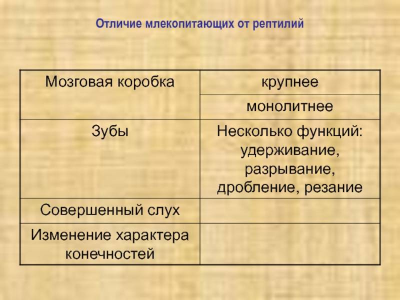 Отличие млекопитающих от других позвоночных животных