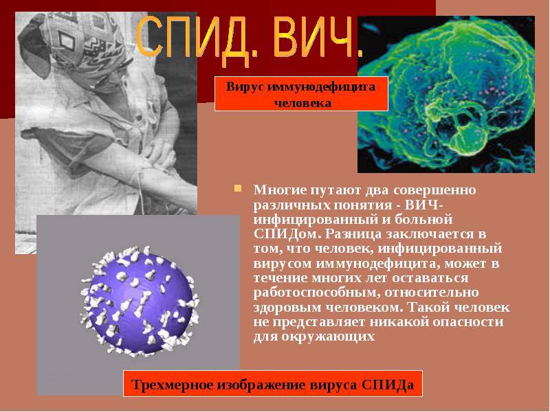 Чем отличается вич от спида? (видео)