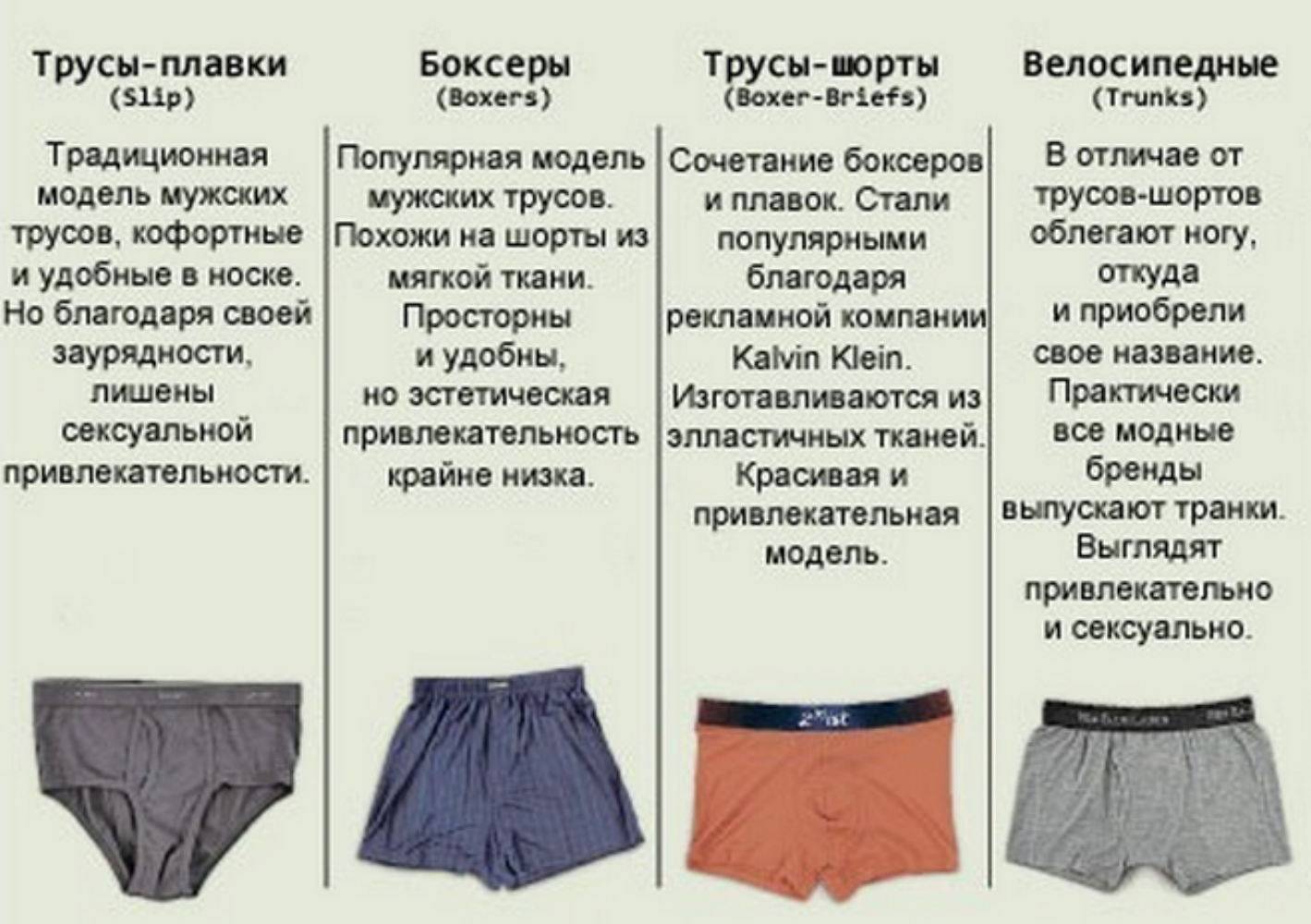 Разница между мужскими и женскими трусами
