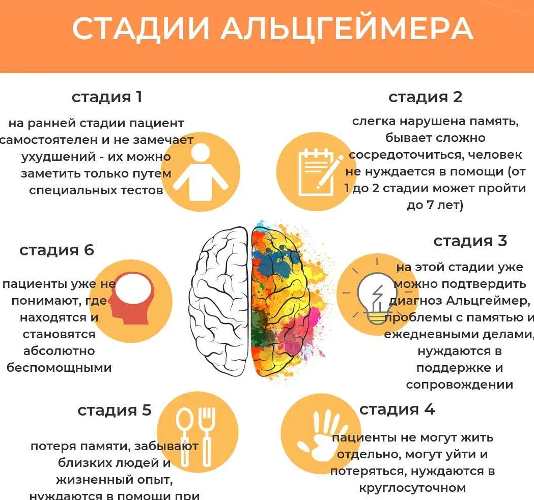 Отличие деменции от болезни альцгеймера - академфарм