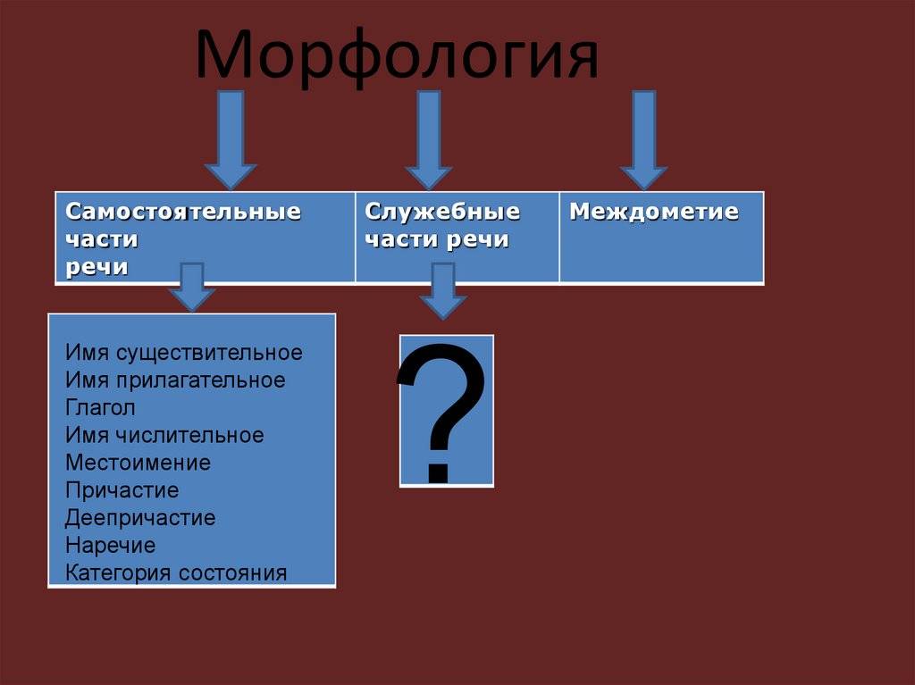Части речи в русском языке