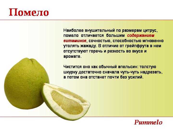Состав и выбор фрукта помело