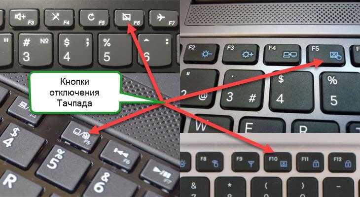 Инструкция: как отключить тачпад на ноутбук asus, hp, lenovo и других на windows