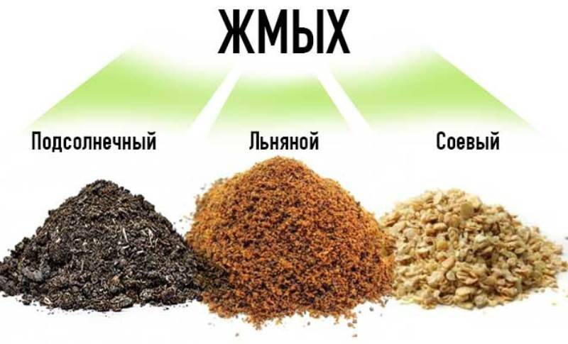 Жмых подсолнечный и льняной для домашних животных – виды корма и нормы потребления