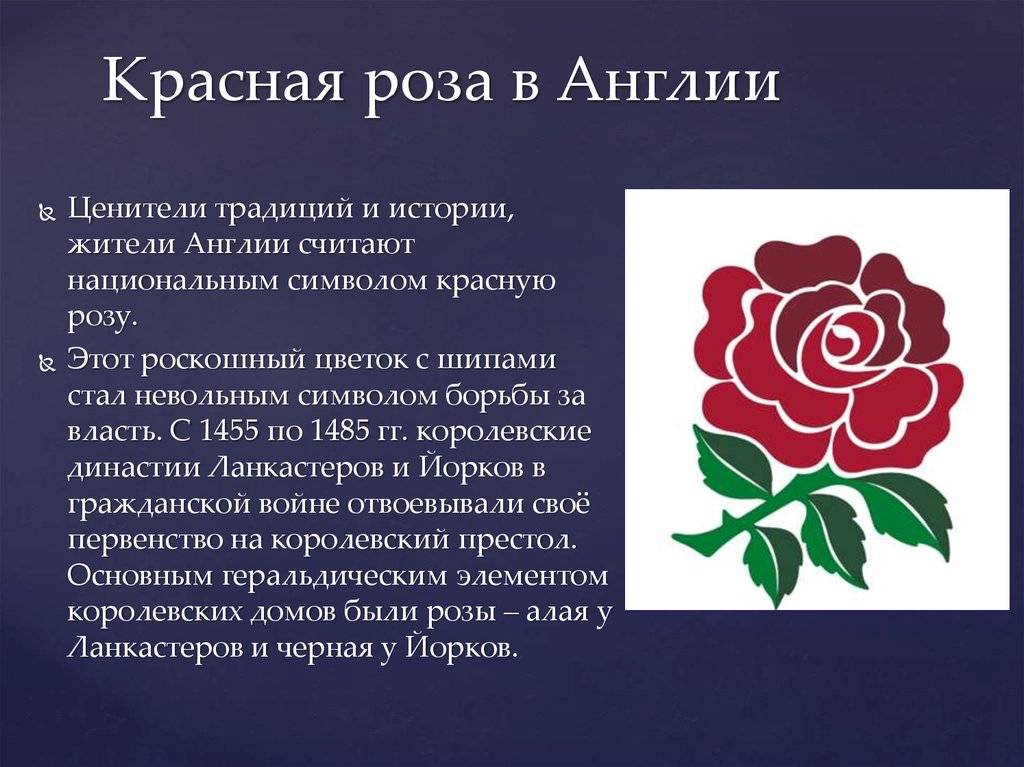 Что является символом великобритании?