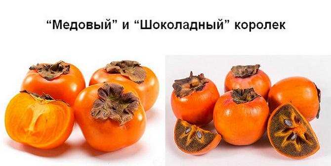 Лучшие сорта хурмы: названия, фото и описание