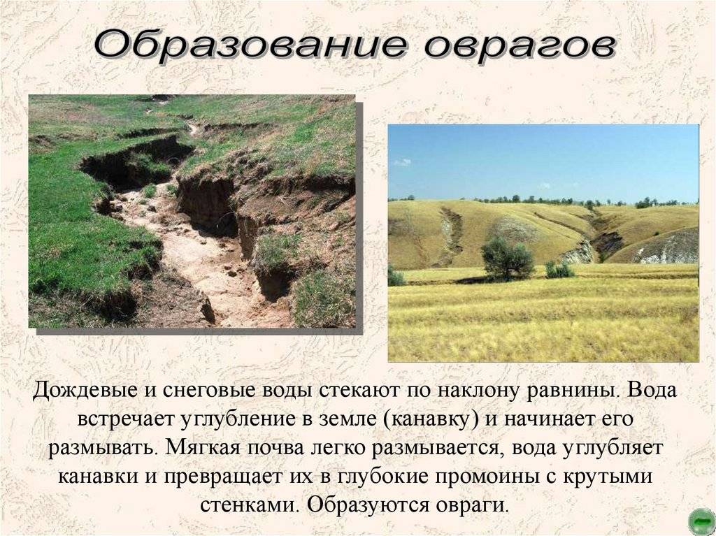 Что такое балка (в рельефе)? виды и примеры балок. разница между балкой и оврагом