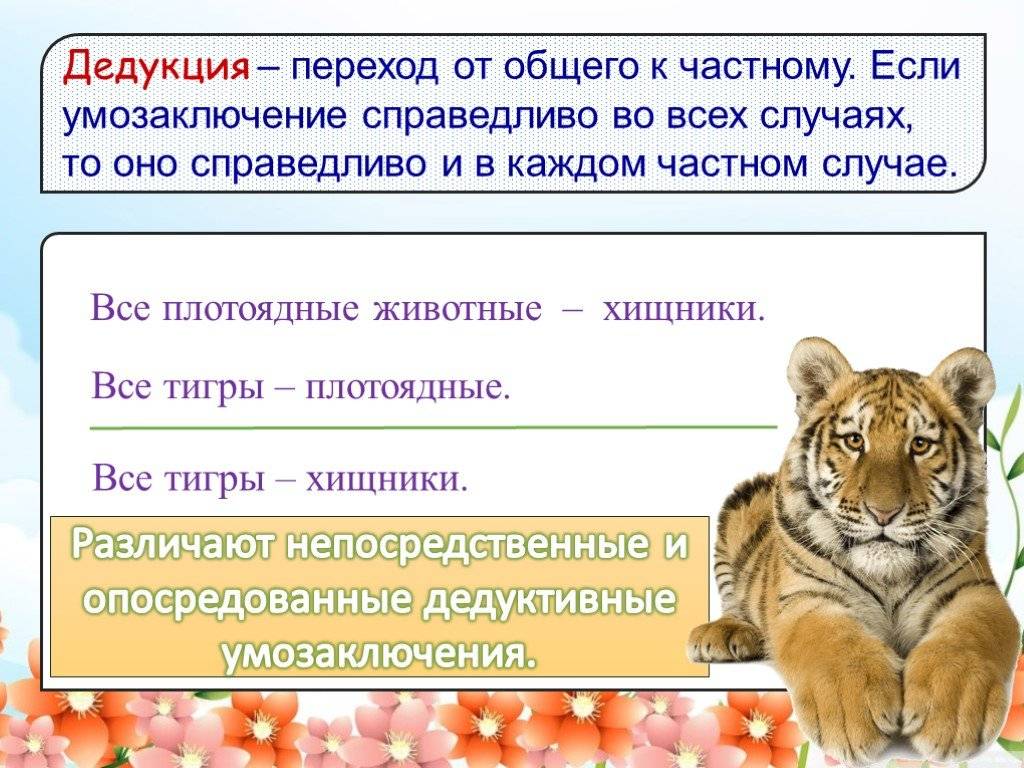 Дедуктивный метод: что это простыми словами, примеры