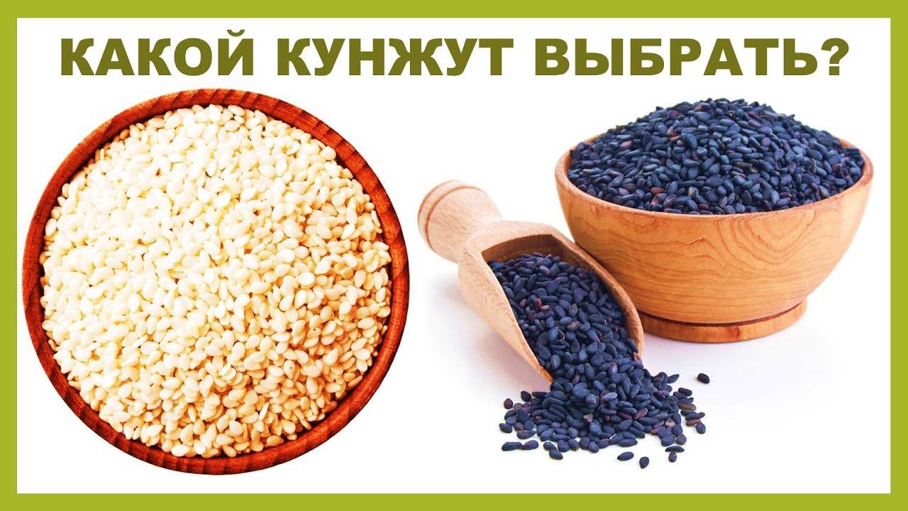 Кунжут: полезные свойства и советы экспертов
