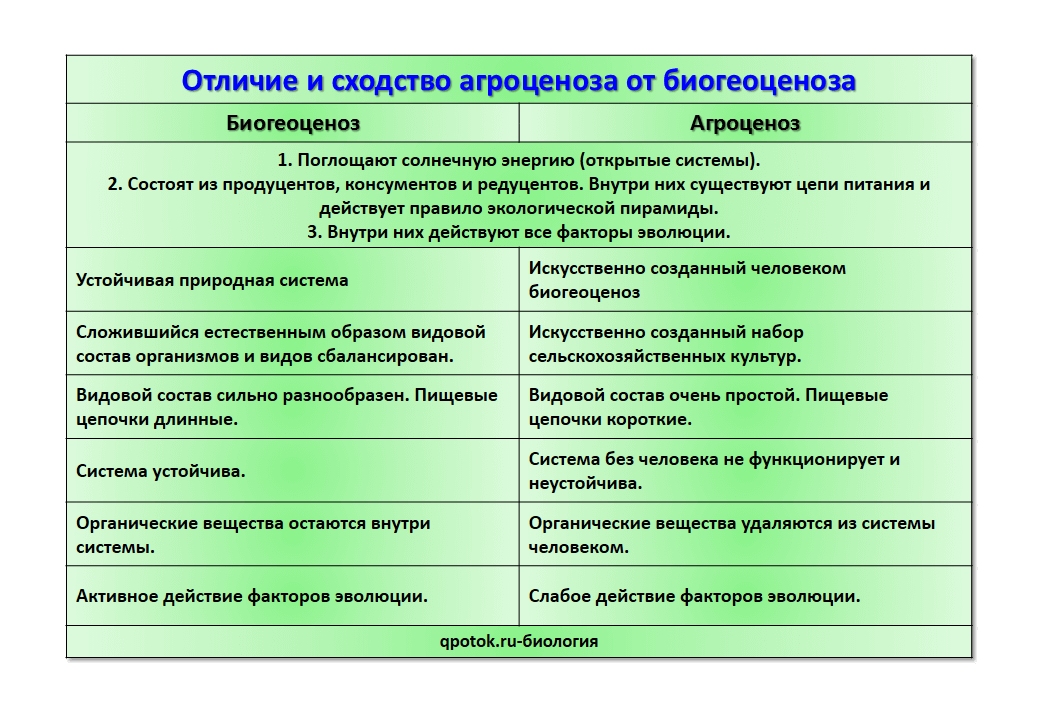Чем отличаются агроэкосистемы от естественных экосистем: особенности и отличия
