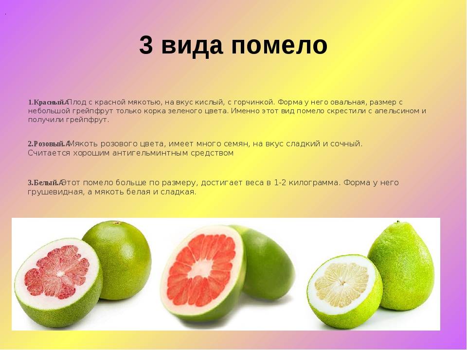Как чистить и резать помело? как хранить помело. как правильно и быстро в домашних условиях разрезать фрукт? как его есть? как красиво подавать на стол? правила очистки помело