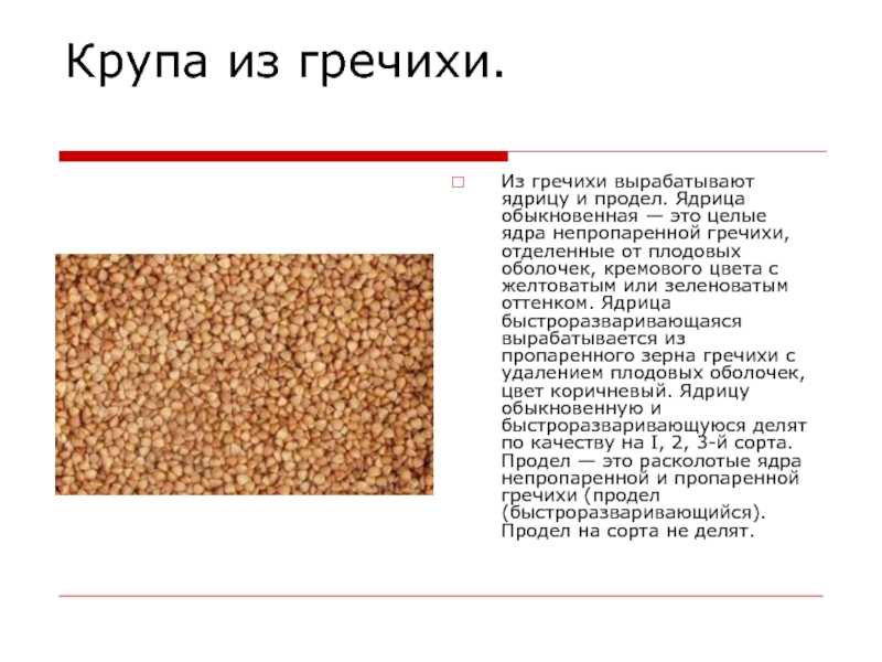 Как выбрать гречку: советы покупателям