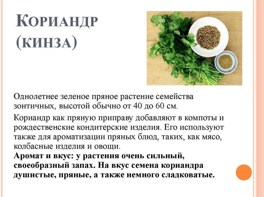 Чем заменить кориандр в маринаде для мяса: лучшие альтернативы