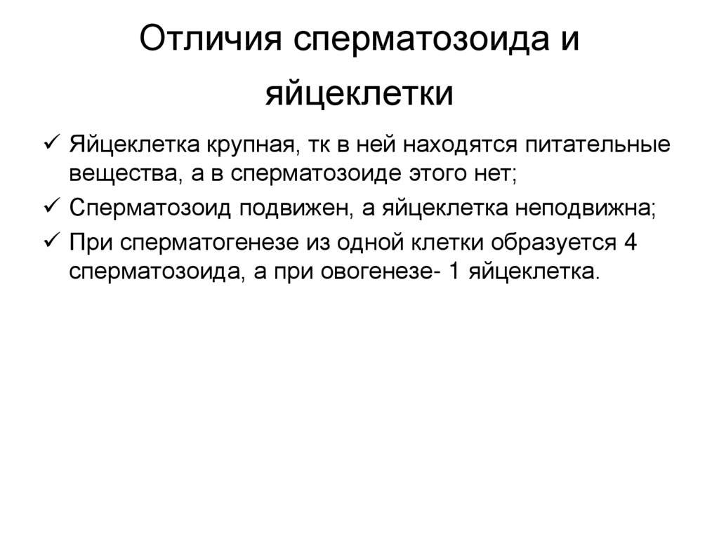 Разница между яйцеклеткой и сперматозоидом