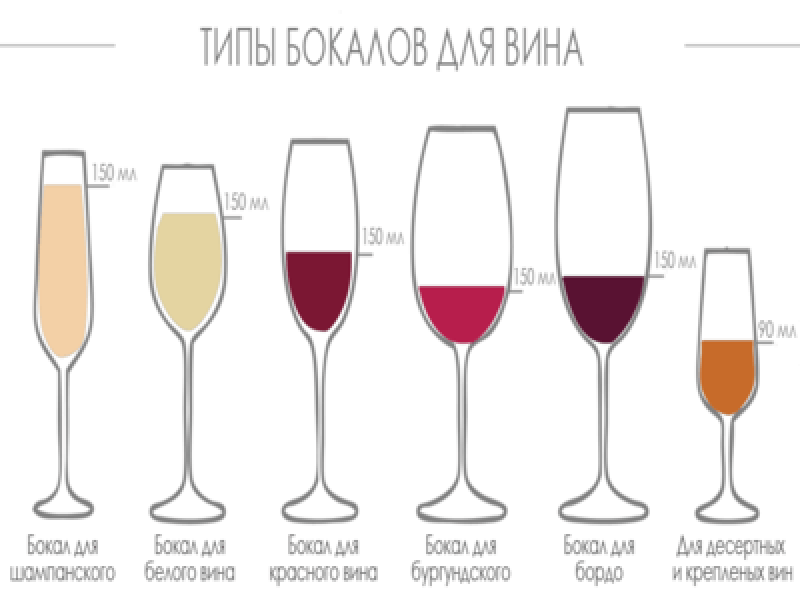 Учимся различать бокалы для красного и белого вина – сайт о винограде и вине