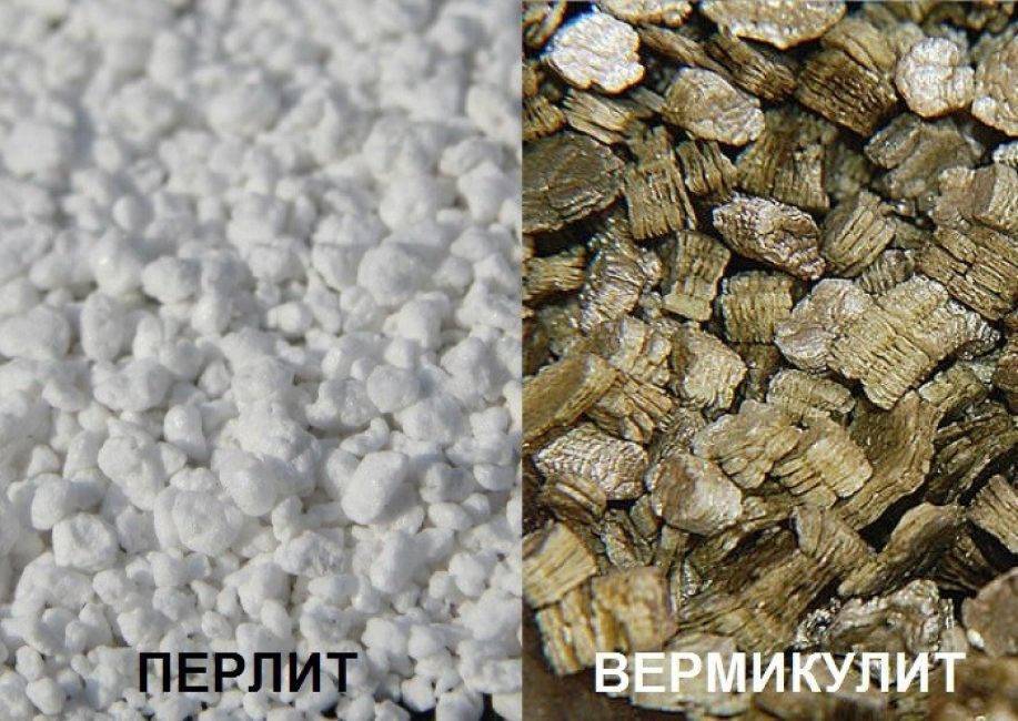 Перлит для растений как применять перлит или вермикулит что лучше для растений?
