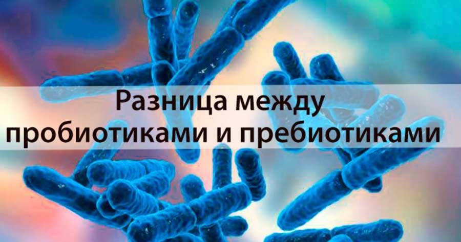 Пребиотики и пробиотики: консультируем покупателя