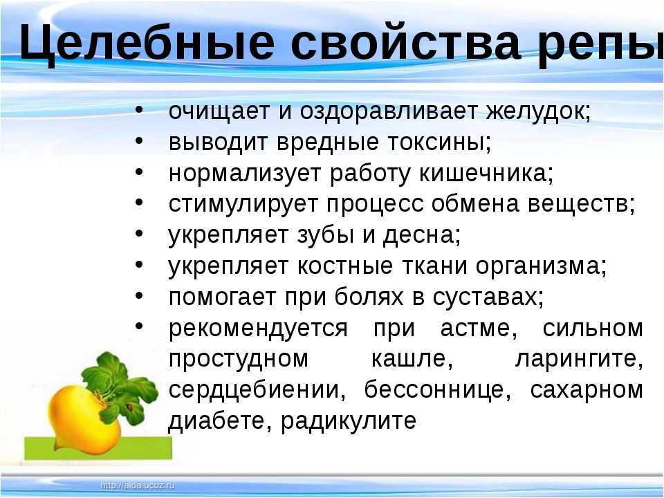 Чем отличаются редька и репа: это одно и тоже или нет?