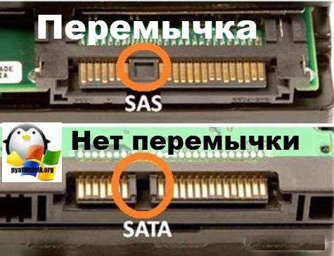 Sata vs. sas: why you need a new class of ssd? - minitool