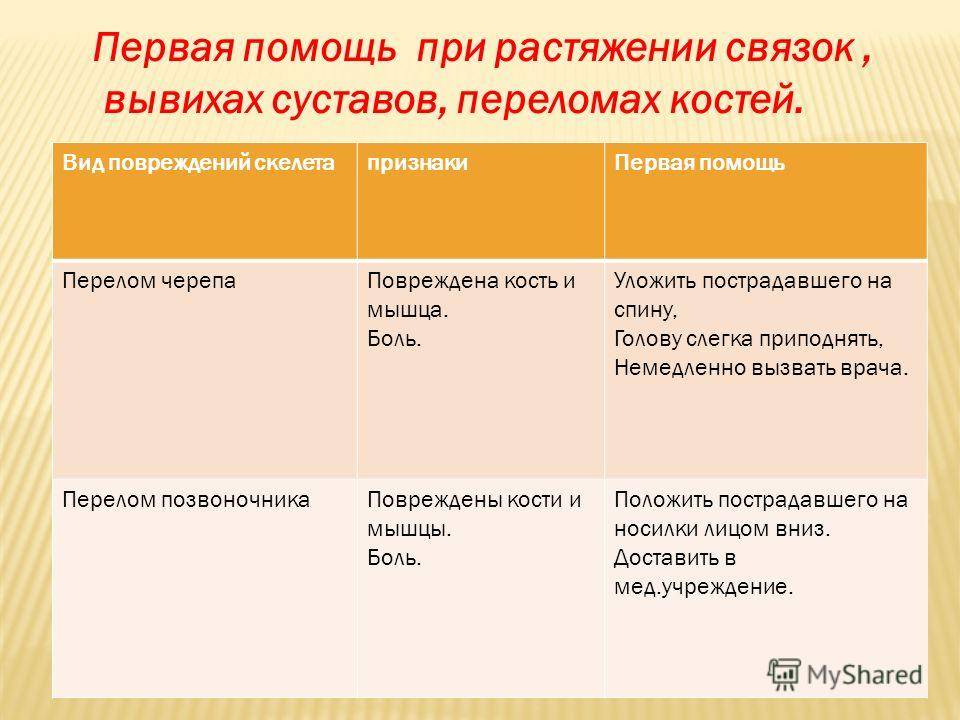 Что отличает скелет человека от скелета млекопитающих животных