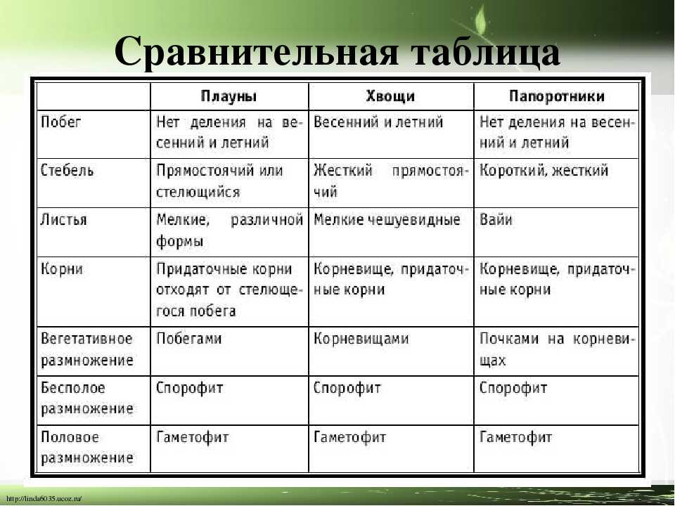 § 10. водоросли, мхи, папоротники, плауны, хвощи
