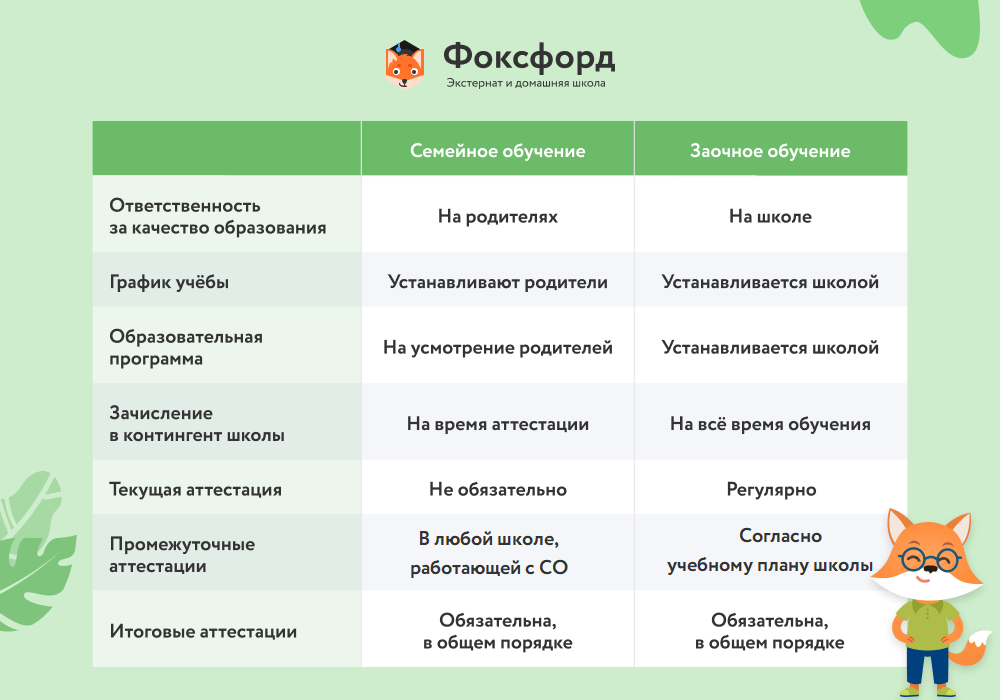 Виды форм обучения: какие они бывают и как работают на практике / skillbox media