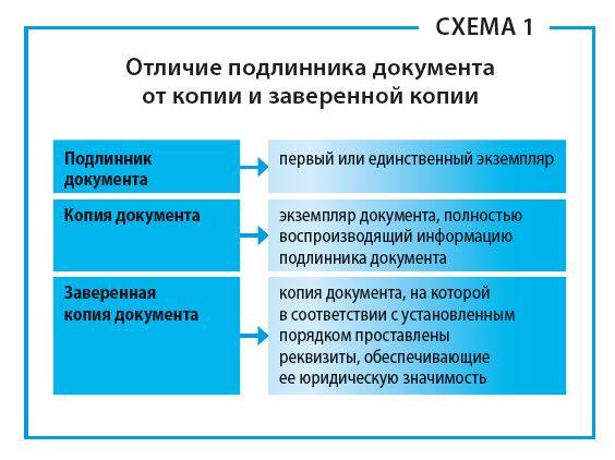 В чем отличие между оригиналом и подделкой: разбираемся
