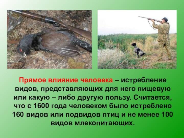 Воздействие человека на природу