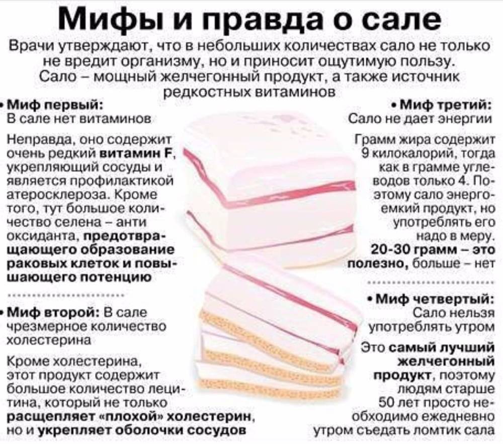 Сало на засолку: выбираем и солим правильно