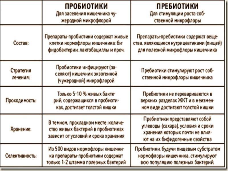 Что такое пробиотики и пребиотики и зачем они нужны