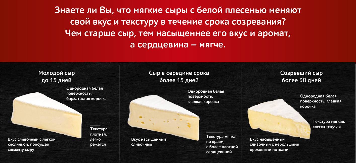 Камамбер и бри: чем один сыр отличается от другого, какой вкуснее и с чем их едят? "сыр королей" и "ноги бога", или в чем разница между бри и камамбером