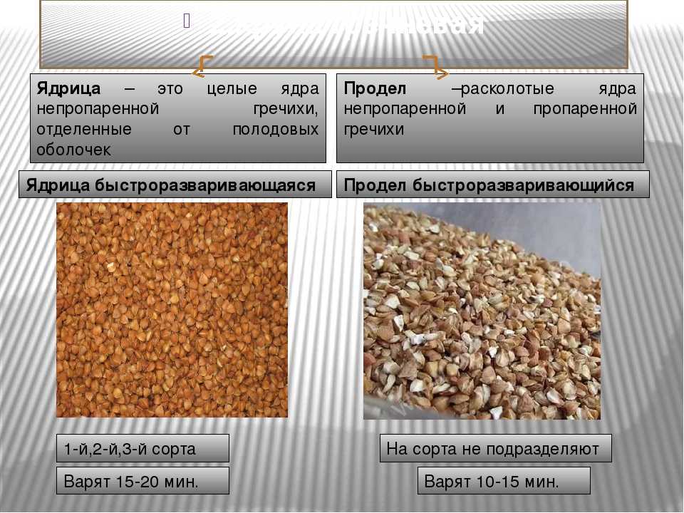 Чем отличается ядрица от продела ответ - povoprosyguru.ru