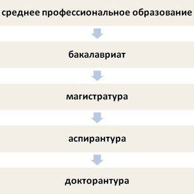 Аспирантура и магистратура — отличия между ступенями высшего образования