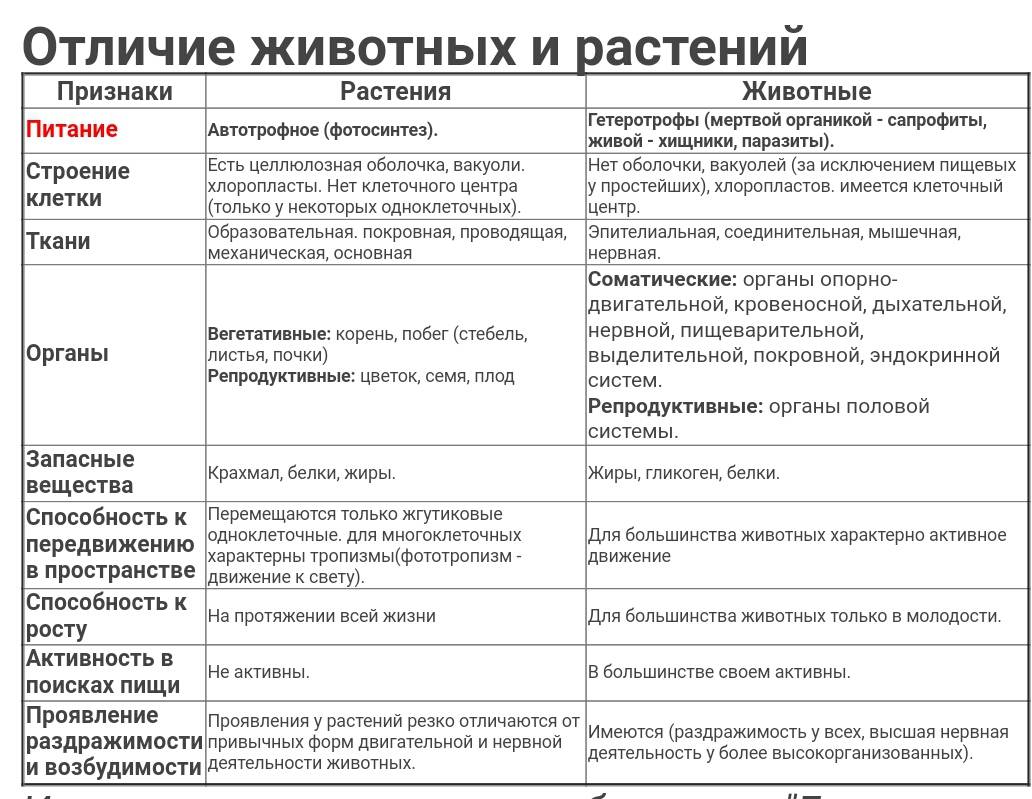 Чем растения отличаются от животных?