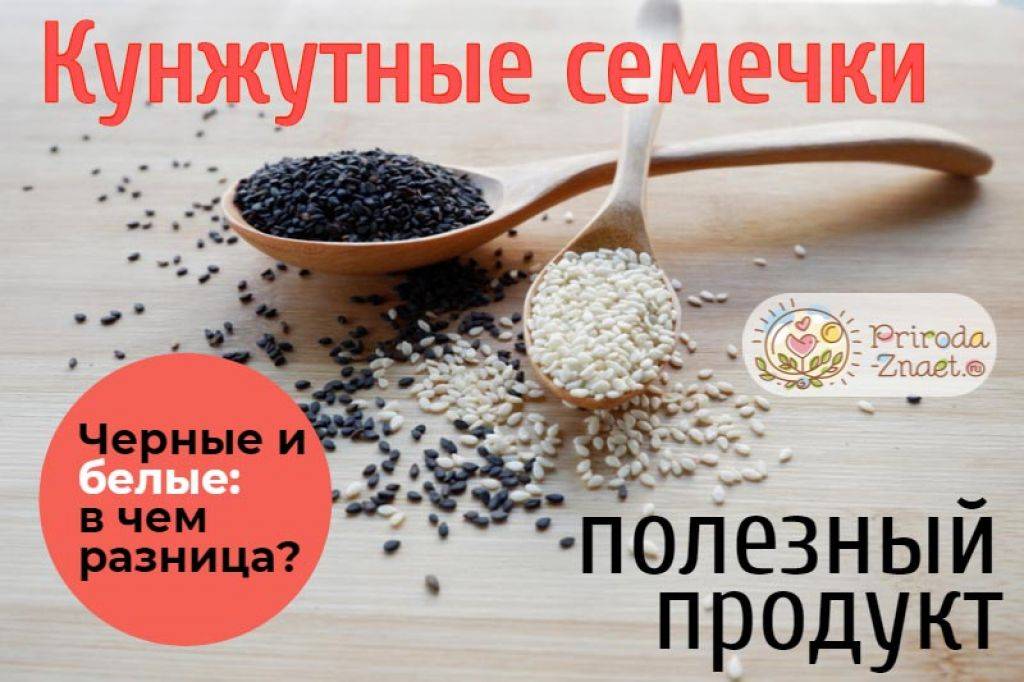 Какой кунжут полезнее черный или светлый