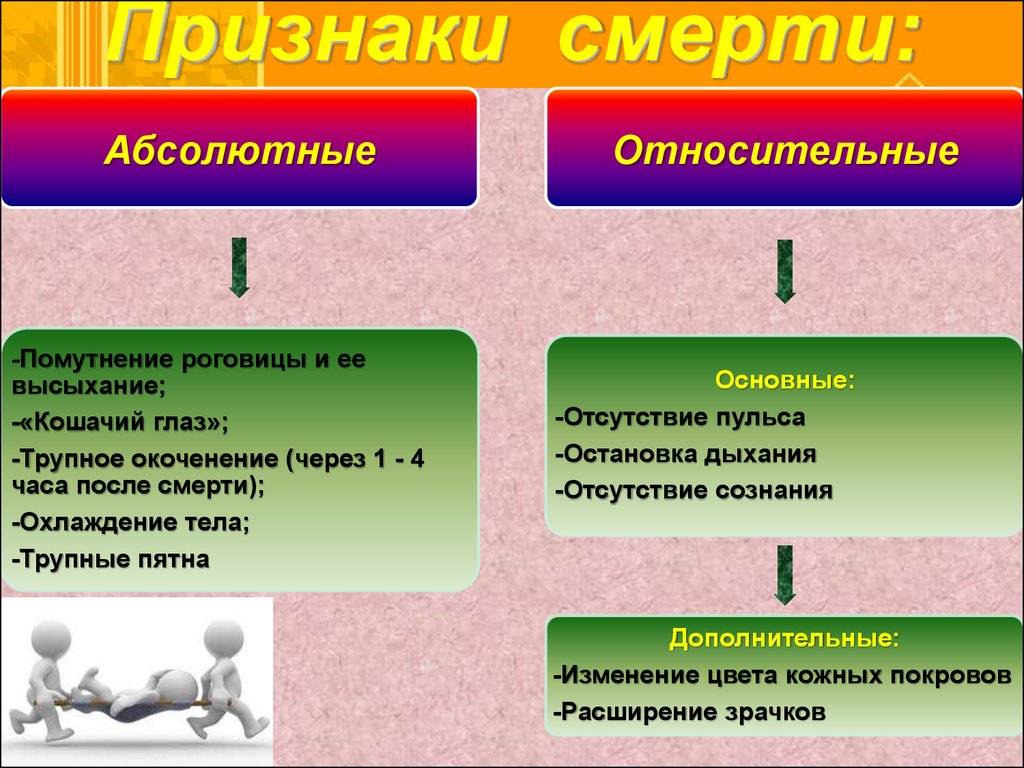 Клиническая и биологическая смерть