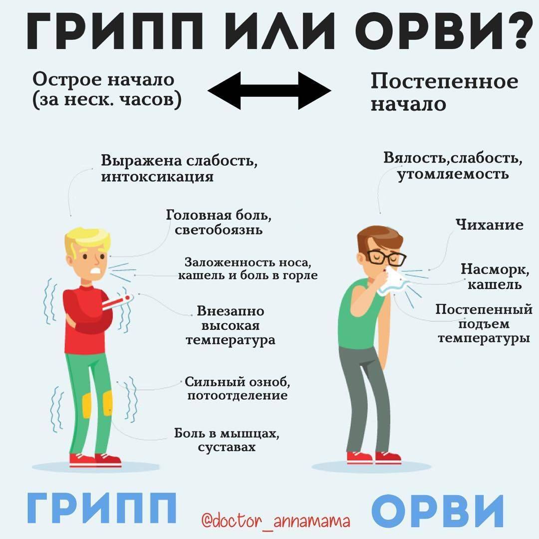 Пора простуд. 10 самых распространённых простудных заболеваний и их самостоятельная диагностика | блог 4brain