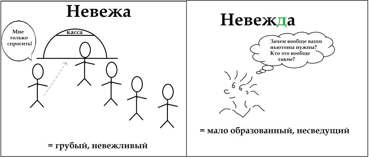 Невежа и невежда, в чём разница этих паронимов? значение слов