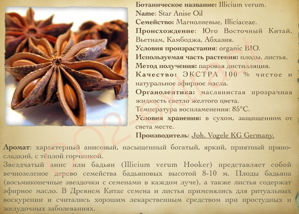 Анис и бадьян в чем разница разное - 2024