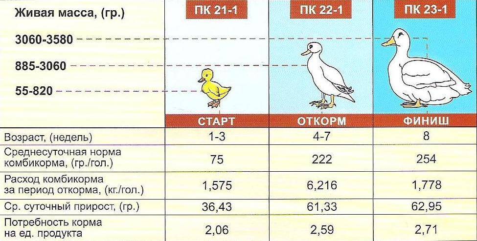 Чем полезно мясо утки