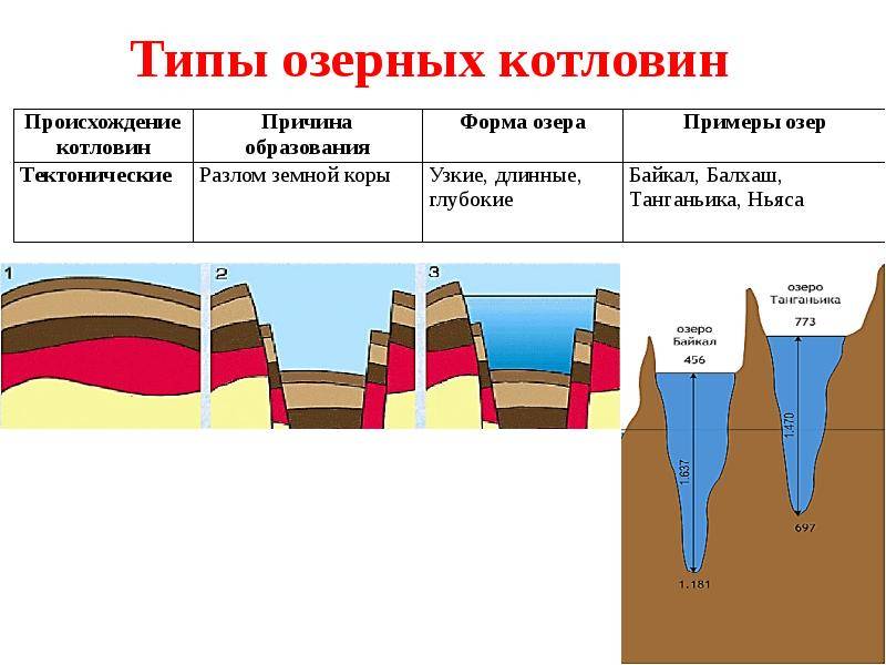 Озера по происхождению котловин с примерами