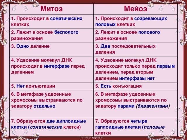 Митоз и мейоз основные отличия и сходства, сравнительная характеристика митоза и мейоза, таблица, биологическое значение