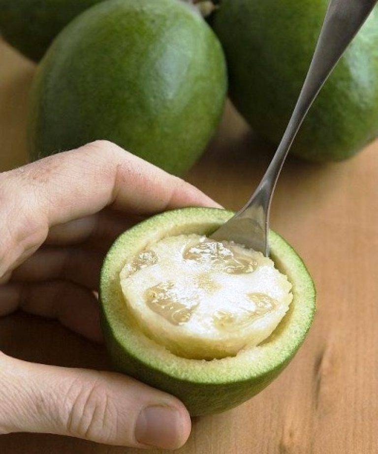 Как правильно есть фейхоа: чистить или нет, есть с кожурой