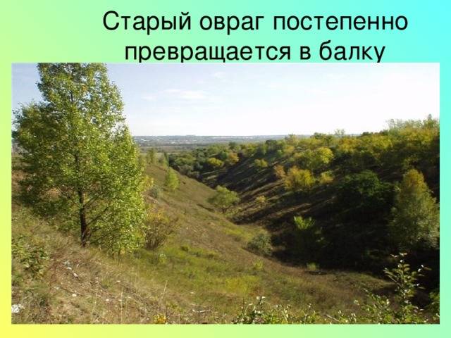 Овраг или балка: различия и превращение