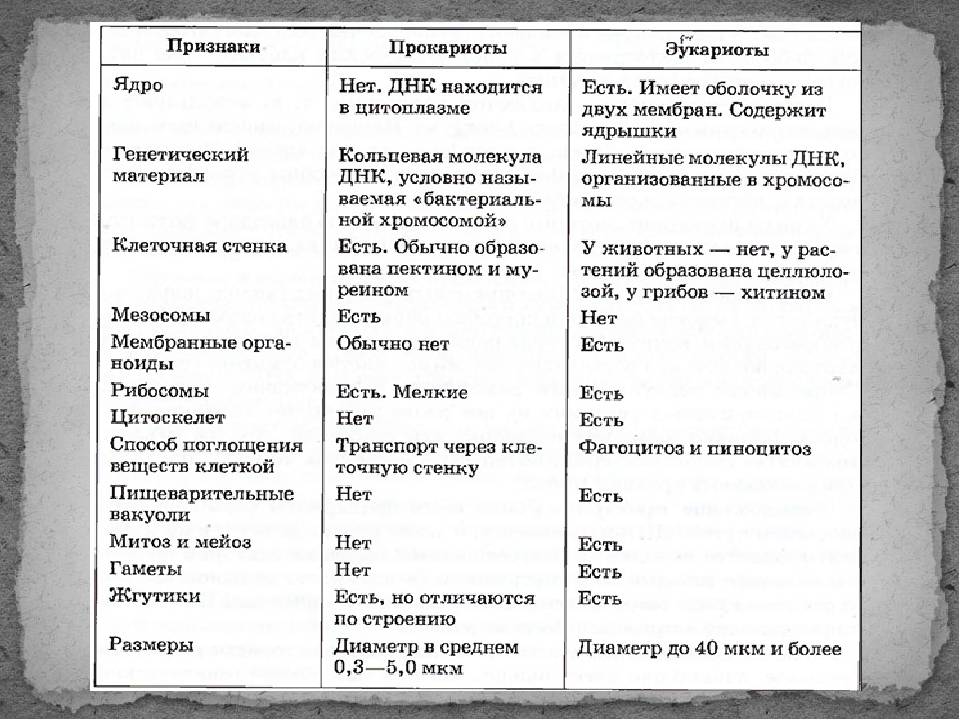 Биологический отдел центра педагогического мастерства