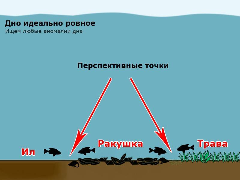 Как правильно выбрать уловистое место для рыбалки